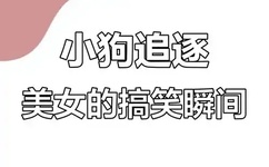 日韩高清一区二区三区不卡